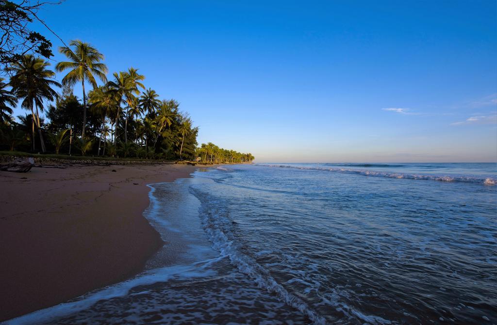 Hotel Costa Las Ballenas Las Terrenas Zewnętrze zdjęcie