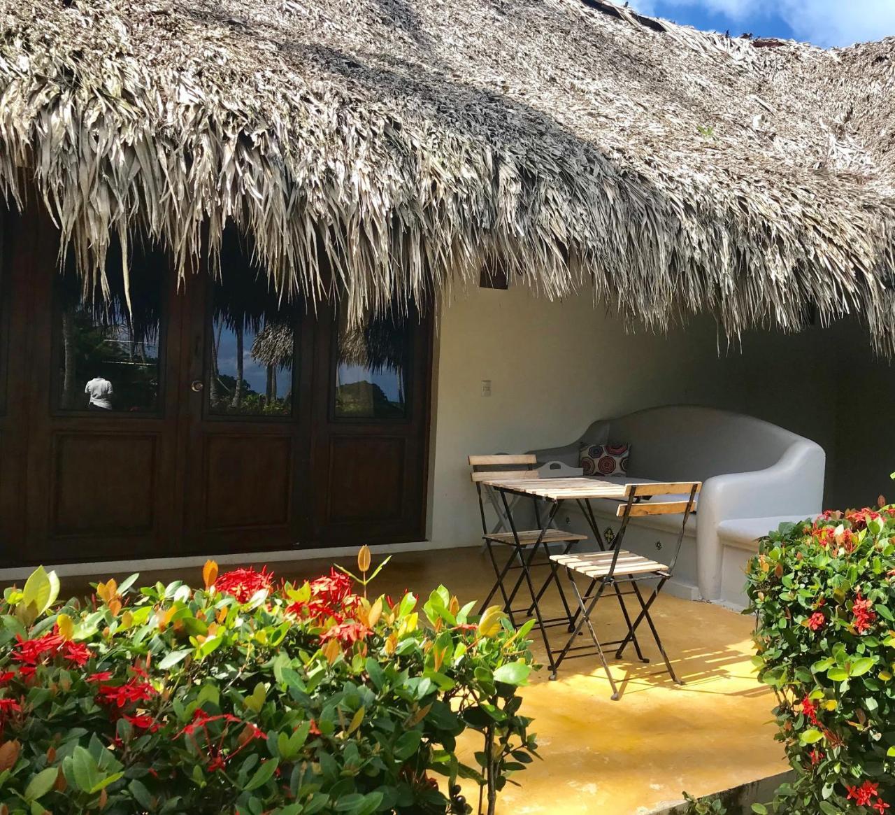 Hotel Costa Las Ballenas Las Terrenas Zewnętrze zdjęcie